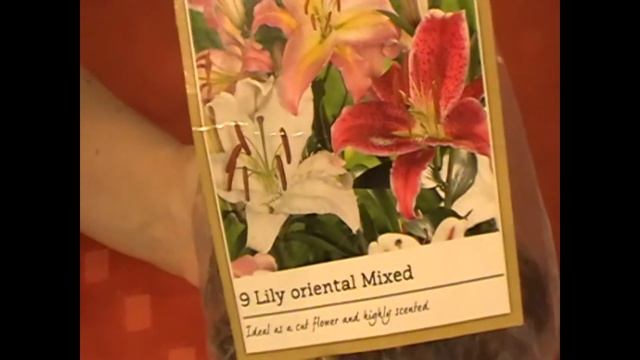 Цветы на посадку,обзор Калифорнийского мака,шоколадного космоса,лютиков! смотреть онлайн