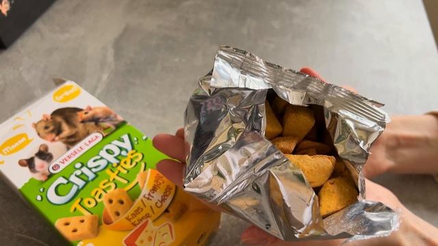 ЧТО У НАС НОВОГО: НОВЫЙ ДОМИК, ВКУСНЯШКИ, ЗАБОЛЕЛИ ВСЕ КРЫСЫ? смотреть онлайн