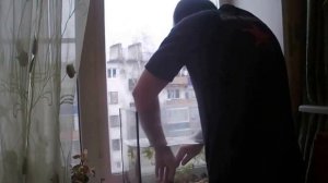 Аквариумные растения