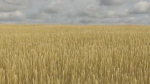 Александр Гудков—Я узкий [1 час]