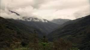 360 Geo - Trafic d'insectes en Bolivie