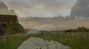 Pine River. Обзор загородного отеля глазами архитектора