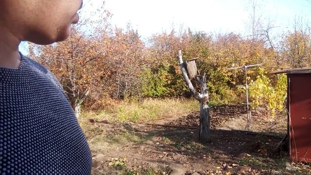 Что делать дачнику осенью? смотреть онлайн