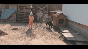 Нашла настоящий пистолет 18+