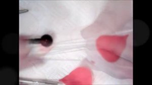 М.К. Ранункулюс из холодного фарфора. Автор МК  Татьяна Несина