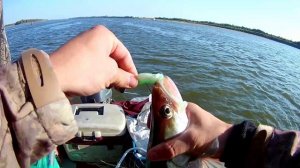 Поиск судака на оби в последний день лета