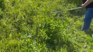 Бензокоса для расчистки территории.Caiman WX50 #триммер #бензотриммер #мотокоса#газонокосилка#garde