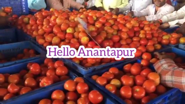 March 3, 2024 Kolar tomato market rates #kolar #kolartomatomarkettomatorates смотреть онлайн