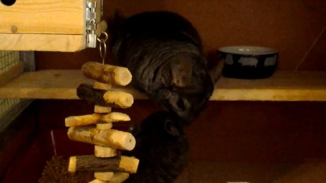 Микки и карандаши))) смотреть онлайн