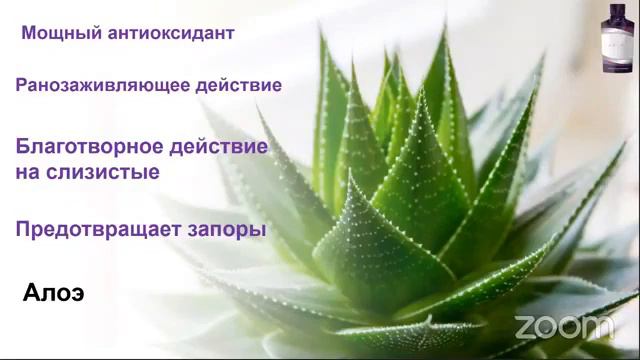 Reserve В чем его привлекательность смотреть онлайн