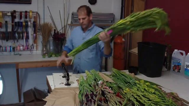 How To Prepare Calif Asst Gladiolas - lwflowers.com смотреть онлайн