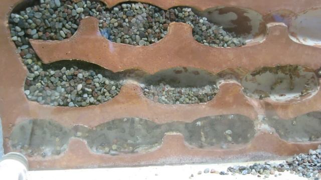 Camponotus pilicornis. Расчистка камер нового формикария.