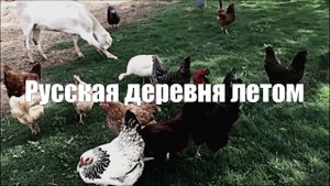 Видео  1 час Русская деревня l Лето l Фото l Звуки природы для отдыха и расслабления