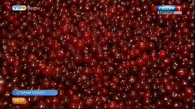 Утренний дайджест, 28 февраля 2019 года смотреть онлайн