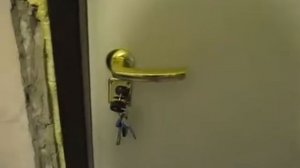 Отзыв о Входных дверях Страж