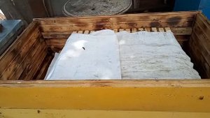 Вентиляция ульев в главный медосбор