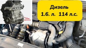 Citroen C4, II рестайлинг. Расположение Vin и номера двигателя 1.6 л. Дизель (DV6C) 114 л.с.