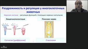 Биология. Регуляция функций у различных организмов