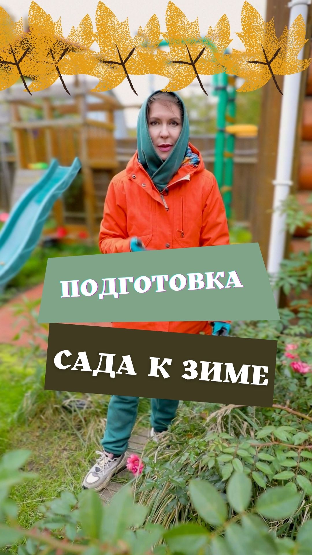 Хранение яблок в погребе