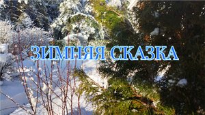Зимняя сказка❄️! Поздравление с Наступающим Новым Годом!