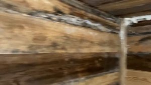 Погреб своими руками доступно и быстро