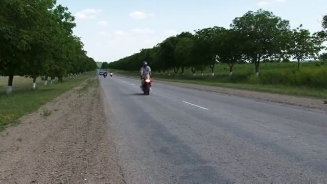 Moto Свадьба смотреть онлайн