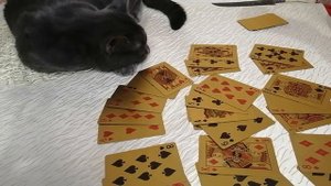 РАБОТА, РАБОТА И ЕЩЕ РАЗ РАБОТА!?? БУДЕТ АКТУАЛЬНА В БЛИЖАЙШИЕ ДНИ!