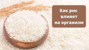 Любите рис? Вот как он влияет на организм. Какой рис самый полезный для организма?