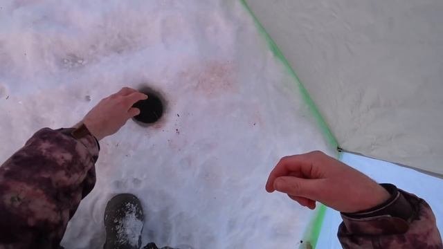 Не зря прошёл 5 км,жерлицы стреляли одна за другой.