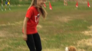 Спорт с собакой. Как выбрать, чем заниматься