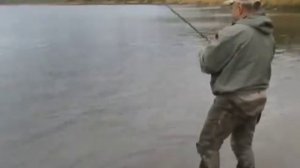 Watch Спиннинг  Banax New Tinfish Длина 2,74, Тест 7 - 28 Гр - Куплю Спиннинг