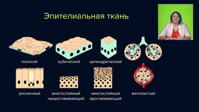 Ткани человека смотреть онлайн