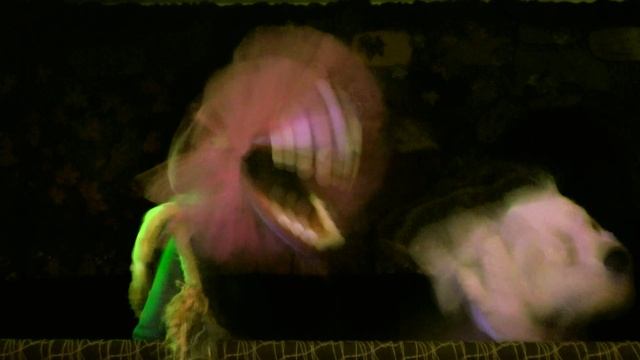 кукольный спектакль "Седьмой секрет Гномов" смотреть онлайн