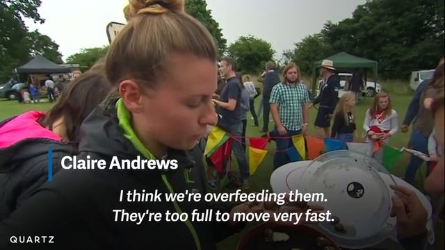 The 2017 World Snail Racing Championships смотреть онлайн
