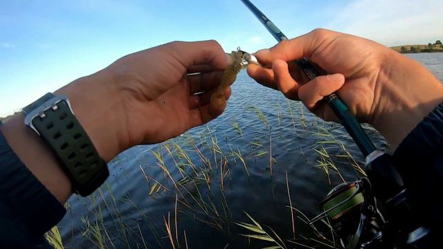 Ловля Огромных Окуней Летом. Окуни Монстры не дают скучать !!!! Часть:2 смотреть онлайн