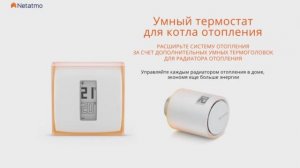 Netatmo. Термостат Wi-Fi для котла отопления с управлением со смартфона.