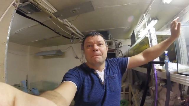 Едят ли рыбы первый снег? )) смотреть онлайн