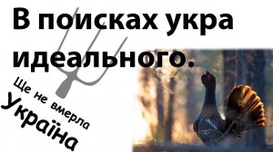 Токование нацЫков. #анасзашо #рулетка #украина #россия #культура #воспитание