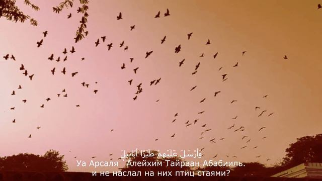 сура Филь 105 qoran koran islam islamicvideo