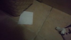 Урок как научится какать