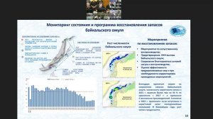 Коллегия Федерального агентства по рыболовству