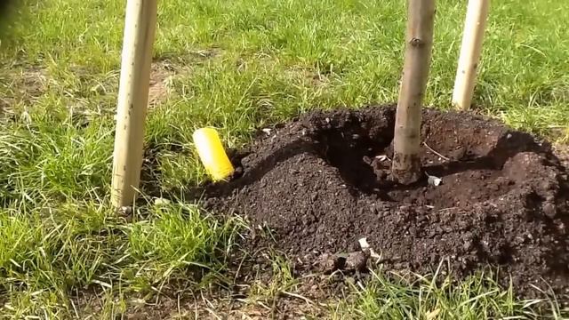 #8 Поляки строят и озеленяют одновременно смотреть онлайн