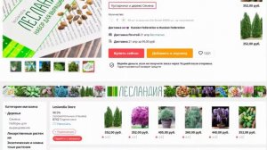 Сосна Юннаньская СЕМЕНА Сосна юньнаньская БОНСАЙ СОСНА 20 семян