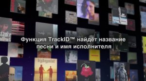 Система SONY TRACKID