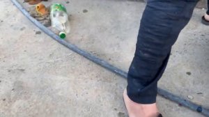 Жареное мясо в казане Узбекистан