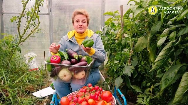 СОБРАЛИ Урожай – Наталья Петренко Садовый мир