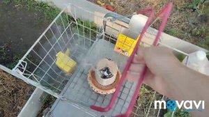 обработка теплиц шашкой Фитофторник