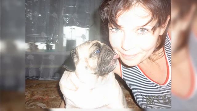 Мои собаки смотреть онлайн