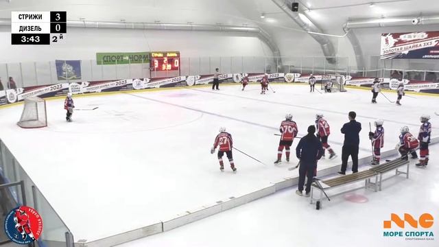 ЗШ (2) 12-13 г.р. | Стрижи - Дизель | 02 Декабря 2023 г. 11:50 | смотреть онлайн