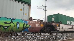 Аэроэкспресс в аэропорту Шереметьево: расписание, как добраться, тарифы